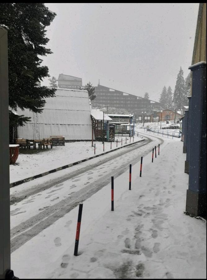 Iglika 2 Snowy Night V 31 Apartment Borovets Bagian luar foto