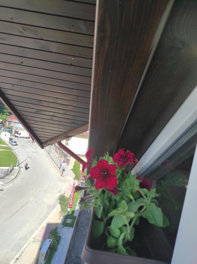 Iglika 2 Snowy Night V 31 Apartment Borovets Bagian luar foto