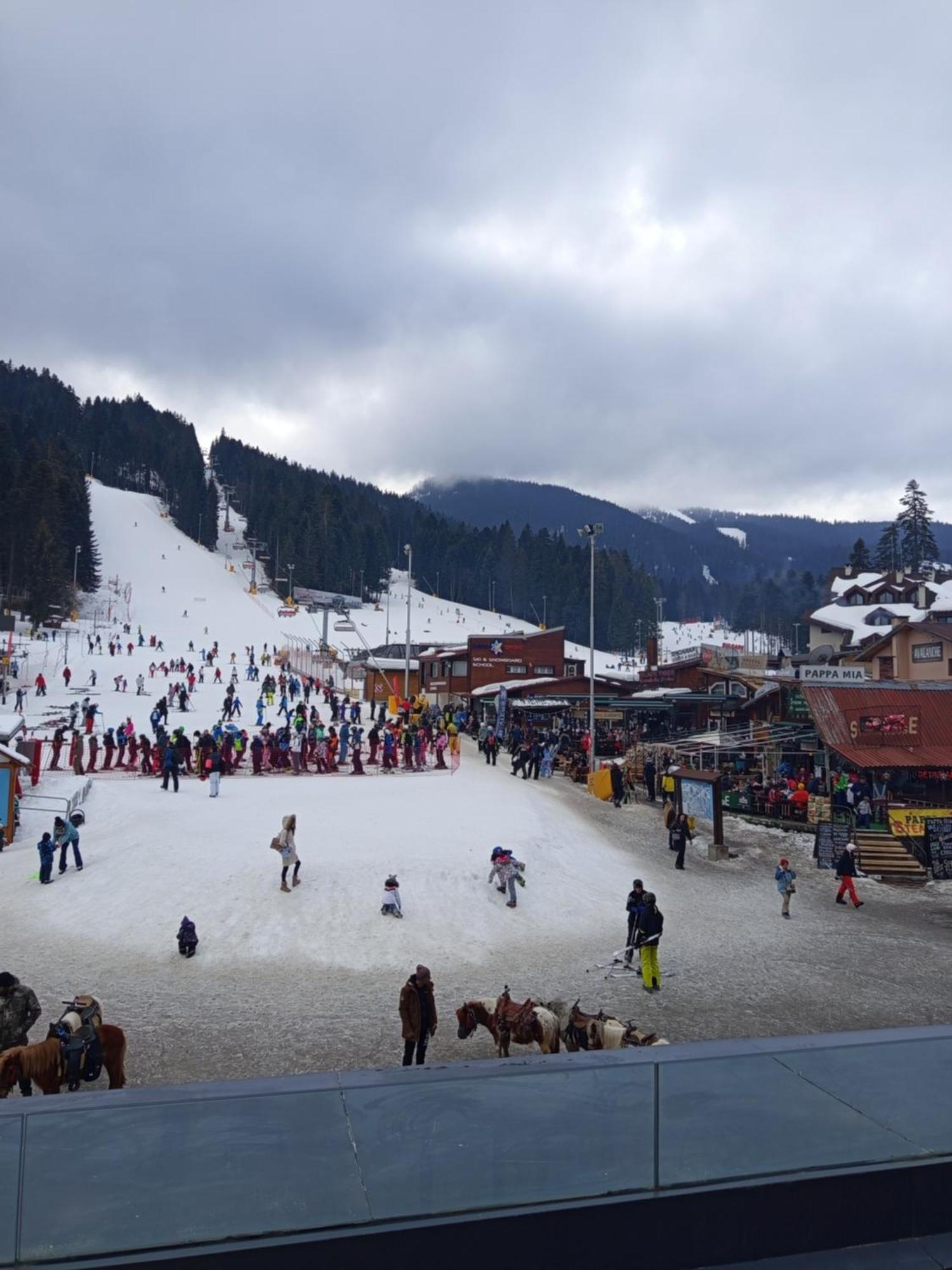 Iglika 2 Snowy Night V 31 Apartment Borovets Bagian luar foto